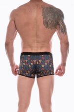 Çok Renkli Fantezi Seksi Erkek Desenli Boxer DM072202
