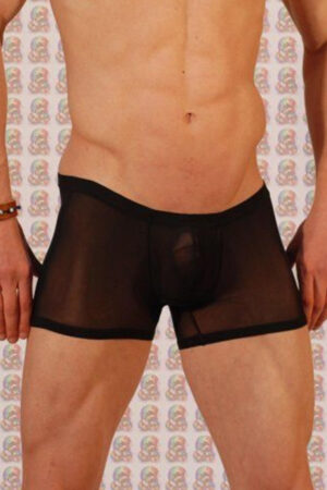 Fantezi Seksi Erkek Boxer DM030919