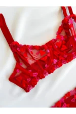 Kırmızı Fantezi Seksi Dantelli Sütyen Takımı PS0017K