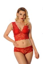 Kırmızı Fantezi Seksi Transparan Dantelli Bralet Sütyen Takımı