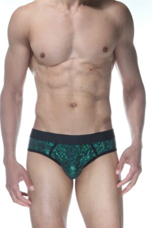 Yeşil Fantezi Seksi Erkek Jockstrap DM102106