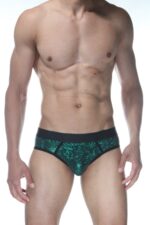 Yeşil Fantezi Seksi Erkek Jockstrap DM102106