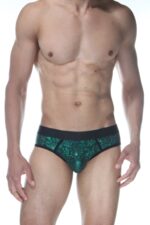 Yeşil Fantezi Seksi Erkek Jockstrap DM102106