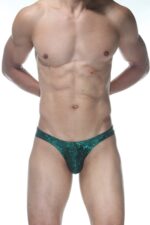 Yeşil Simli Fantezi Seksi Erkek Slip DM102103