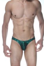 Yeşil Simli Fantezi Seksi Erkek Slip DM102103