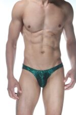 Yeşil Simli Fantezi Seksi Erkek Slip DM102103
