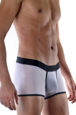 Beyaz Fantezi Seksi Erkek Transparan Boxer DM111894