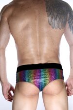 Çok Renkli Fantezi Seksi Erkek Boxer
