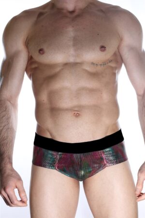 Çok Renkli Fantezi Seksi Erkek Boxer