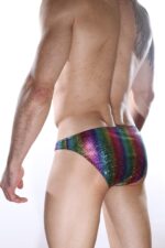 Çok Renkli Fantezi Seksi  Erkek Slip DM012126