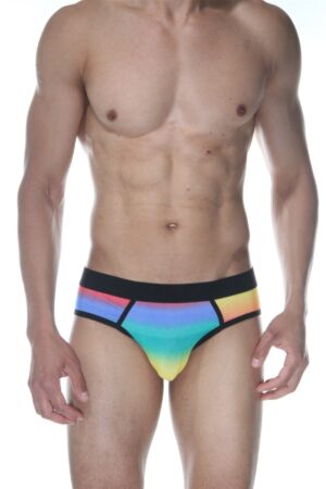 Çok Renkli Seksi Fantezi Erkek Jockstrap DM102115