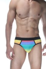 Çok Renkli Seksi Fantezi Erkek Jockstrap DM102128