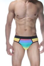 Çok Renkli Seksi Fantezi Erkek Jockstrap DM102128