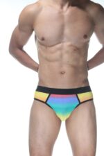 Çok Renkli Seksi Fantezi Erkek Jockstrap DM102128