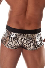 Desenli Fantezi Seksi Deri Erkek Boxer DM031701