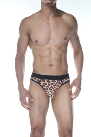 Erkek Fantezi Seksi Leopar Desenli Tanga DM102156