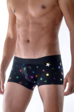 Erkek Fantezi Seksi Yıldız Desenli Boxer DM111804