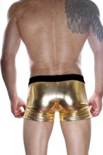 Erkek Sarı Suni Deri Seksi Boxer DM012101