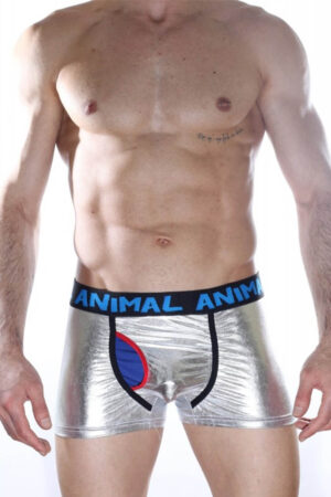 Gri Fantezi Seksi Erkek Desenli Deri Görünümlü Boxer DM012164