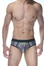 Gri Fantezi Seksi Parlak Erkek Jockstrap DM102118