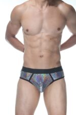 Gri Fantezi Seksi Parlak Erkek Jockstrap DM102118