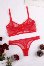 Kırmızı Fantezi Seksi Transparan Bralet Sütyen Takımı