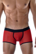 Kırmızı Fantezi Seksi Transparan Erkek Boxer DM111893
