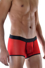 Kırmızı Fantezi Seksi Transparan Erkek Boxer DM111893