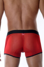 Kırmızı Fantezi Seksi Transparan Erkek Boxer DM111893