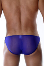Mavi Fantezi Seksi Transparan Erkek Slip DM111889