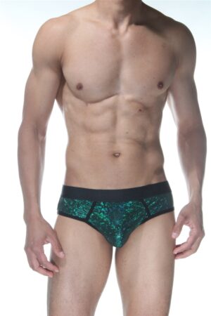 Yeşil Fantezi Seksi Parlak Erkek Jockstrap DM102119