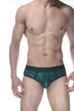 Yeşil Fantezi Seksi Parlak Erkek Jockstrap DM102119