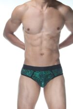 Yeşil Fantezi Seksi Parlak Erkek Jockstrap DM102119