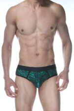 Yeşil Fantezi Seksi Parlak Erkek Jockstrap DM102119